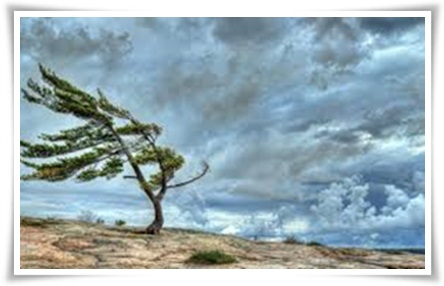 TPOTG-storm-across-the-bay-frame-01