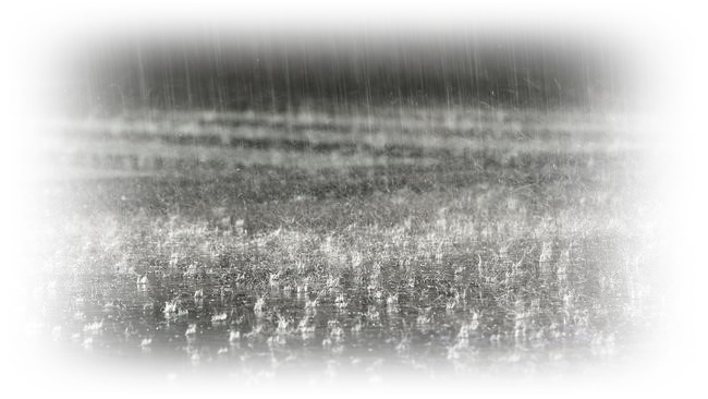 tootg-rain-falling-frame-01